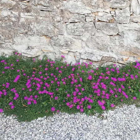 Bed & Breakfast Barbara Borgo Grotta Gigante