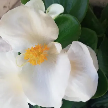 Barbara Bed & Breakfast Borgo Grotta Gigante