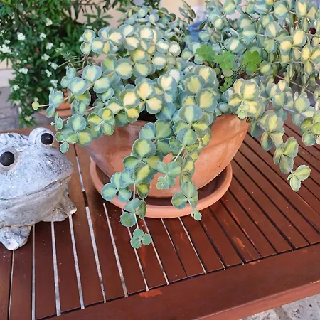 Bed & Breakfast Barbara