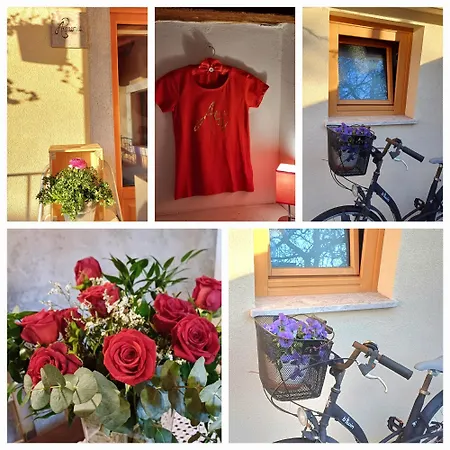 Barbara