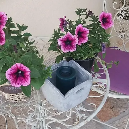 Bed & Breakfast Barbara Borgo Grotta Gigante